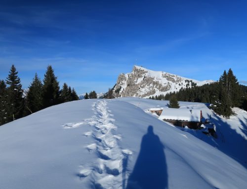 Randonnée en raquettes au Plan Savoireu depuis Chésières