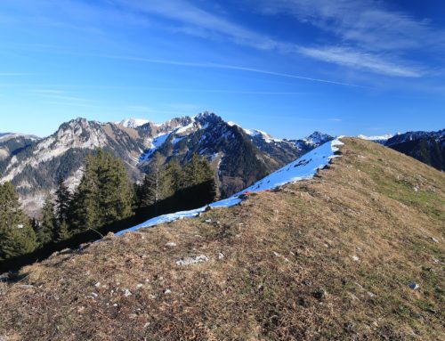 Randonnée au Haut Crêt depuis Le Pralet