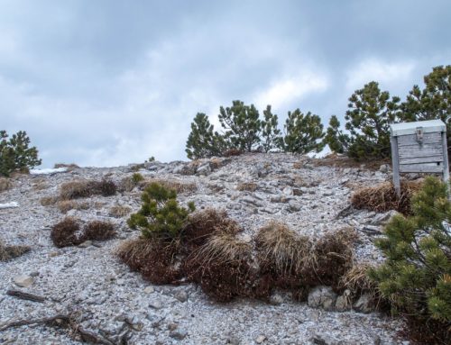 Randonnée au Helwangspitz depuis Steg