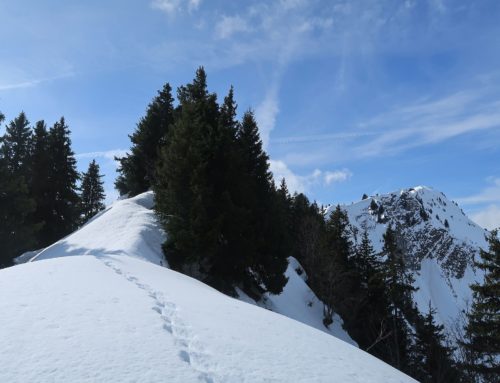 Randonnée en raquettes au Col de Sonlomont depuis Les Moulins