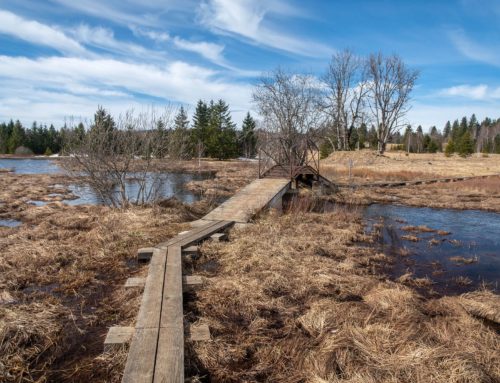 Randonnée de La Burtignière au Lac des Mortes via la Roche Bernard et Champion
